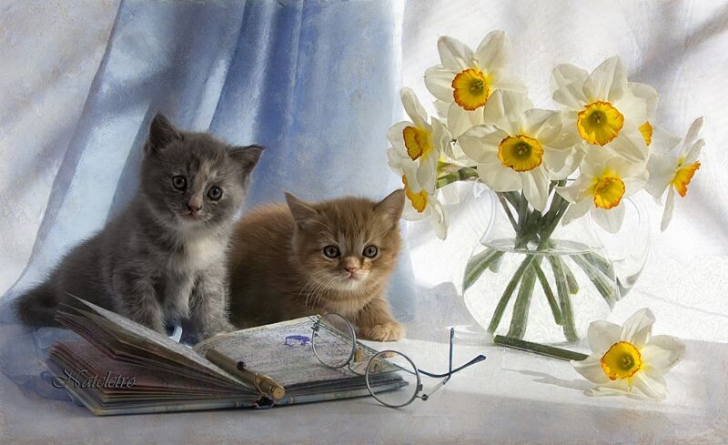 Картинка найдена на просторах интернета, ссылка https://yandex.ru/images/search?from=tabbar&img_url=https%3A%2F%2Fi.pinimg.com%2Foriginals%2Fa8%26F34%2F3f%2Fa8343f812879b5e7bd53274cf0591a19.jpg&lr=47&pos=15&rpt=simage&text=%D1%86%D0%B2%D0%B5%D1%82%D1%8B%20%D0%BA%D1%80%D1%83%D0%BF%D0%BD%D0%BE%20%D1%84%D0%BE%D1%82%D0%BE