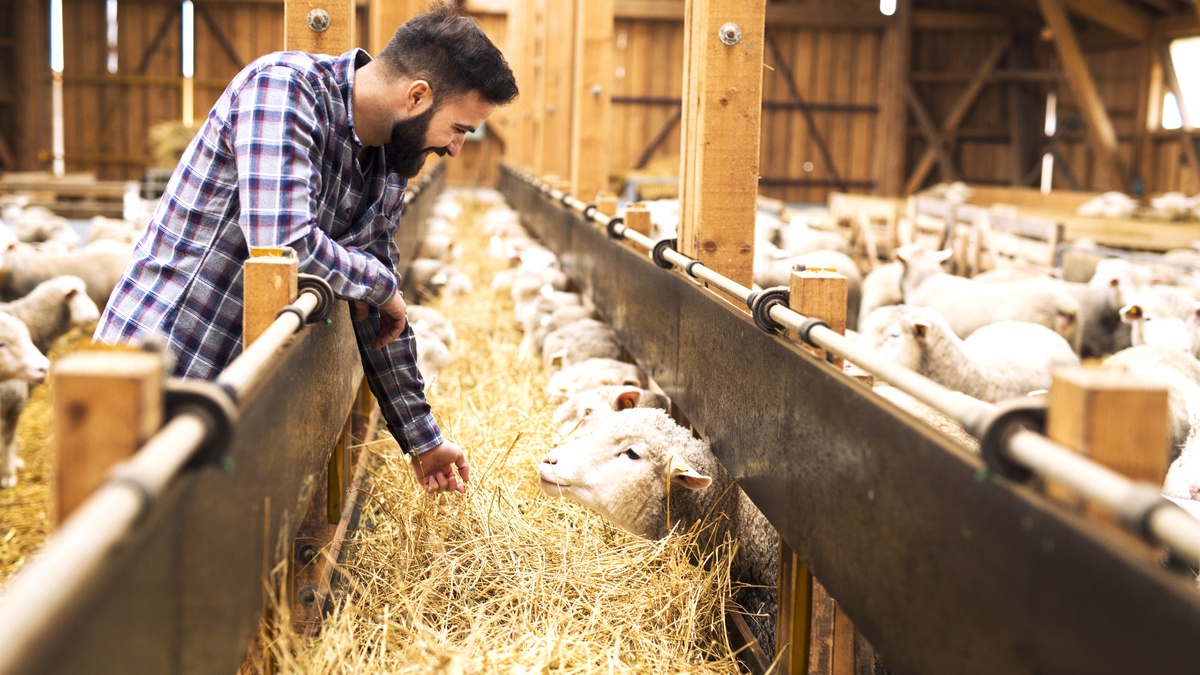    «Школа фермера» в Югре продолжает набор