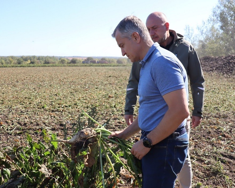     В Обоянском районе Курской области убирают сахарную свеклу