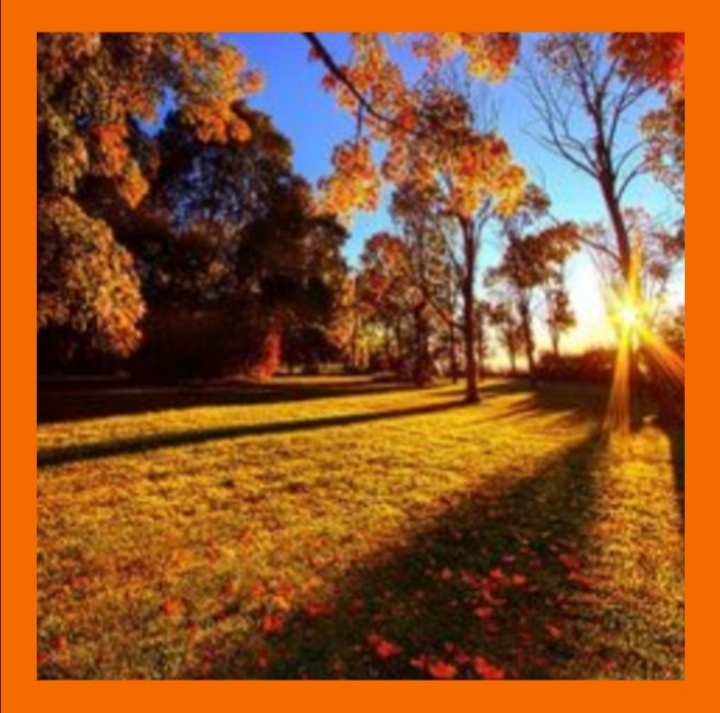 Фото взято из открытых источников для иллюстрации 