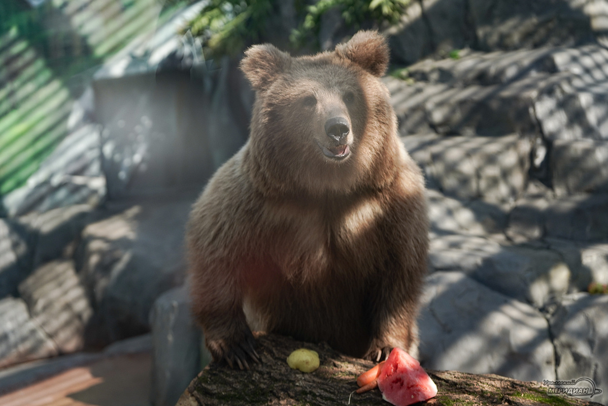    Фото: Лидия Аникина © ИА «Уральский меридиан»