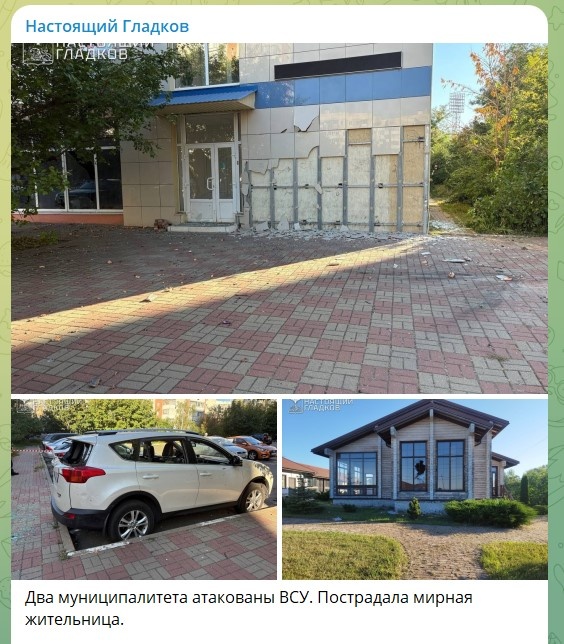    скриншот: телеграм-канал Вячеслава Гладкова