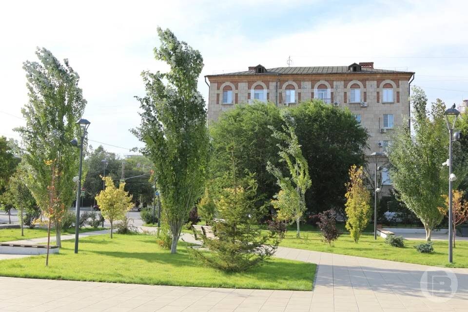    Фото: Матвей Горбунов/"Городские вести"