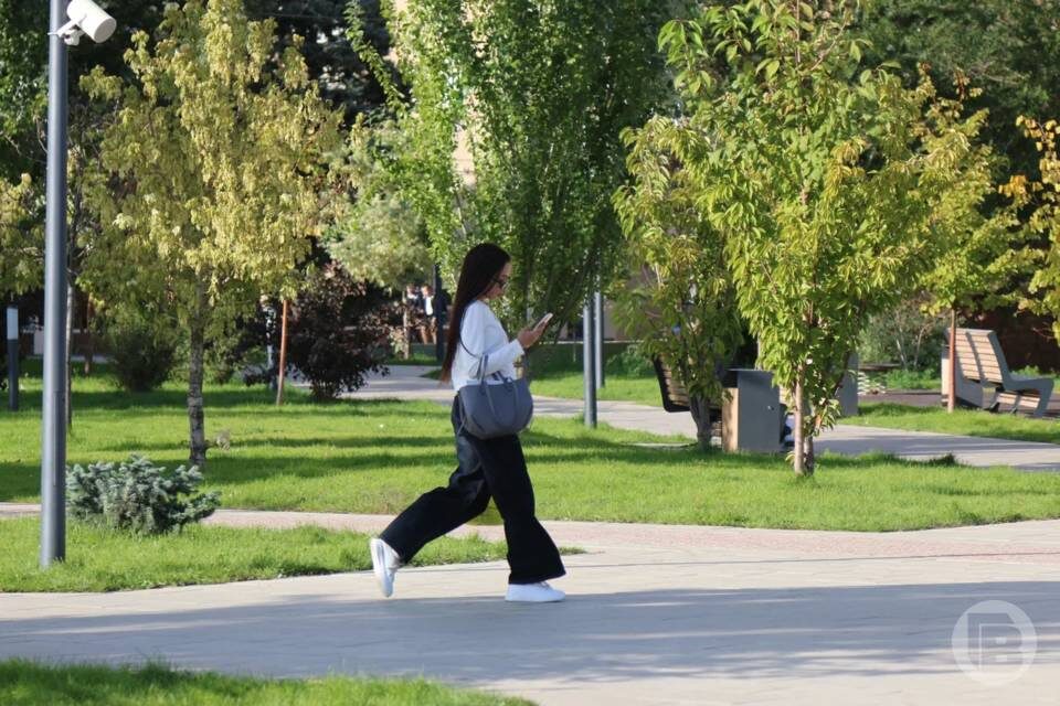    Фото: Матвей Горбунов/"Городские вести"