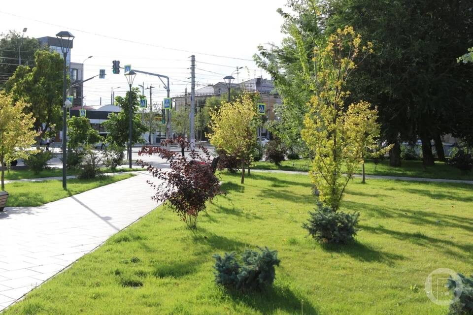    Фото: Матвей Горбунов/"Городские вести"