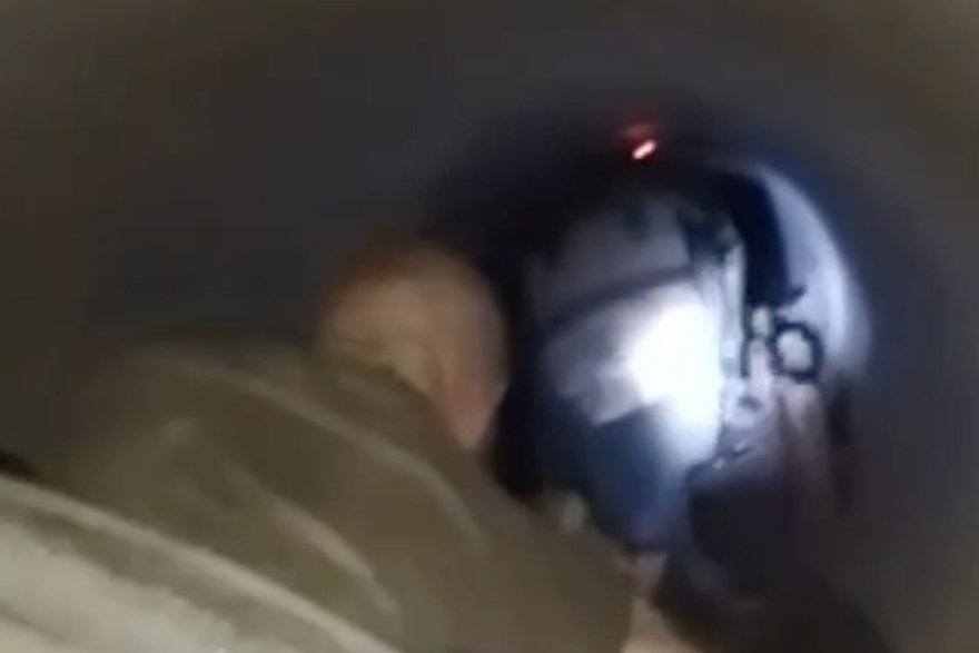    Кадр: Telegram-канал «Военкор Котенок»