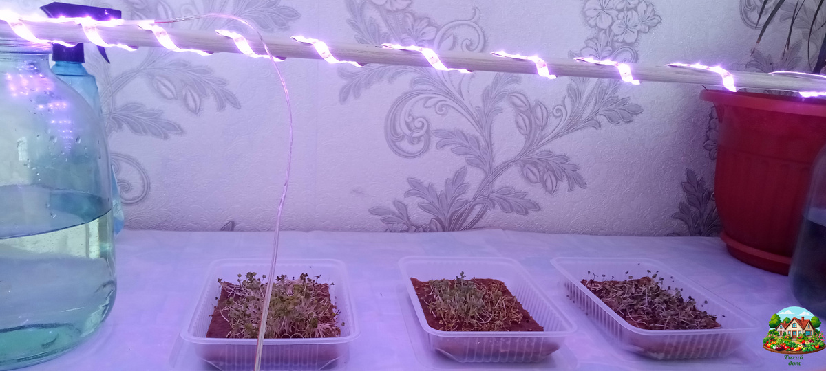 «Первое пристанище»