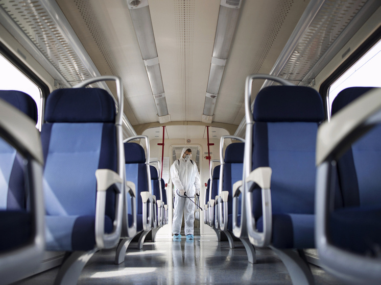     Источник: aleksandarlittlewolf/FreePik