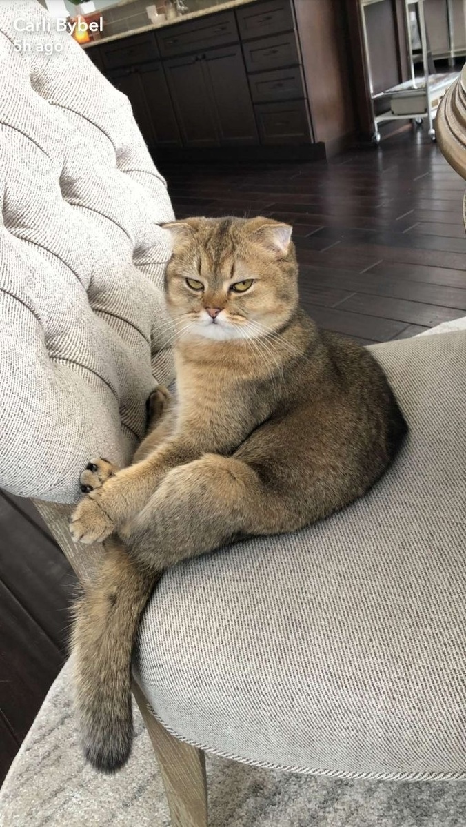 иллюстрация из яндекс картинки.