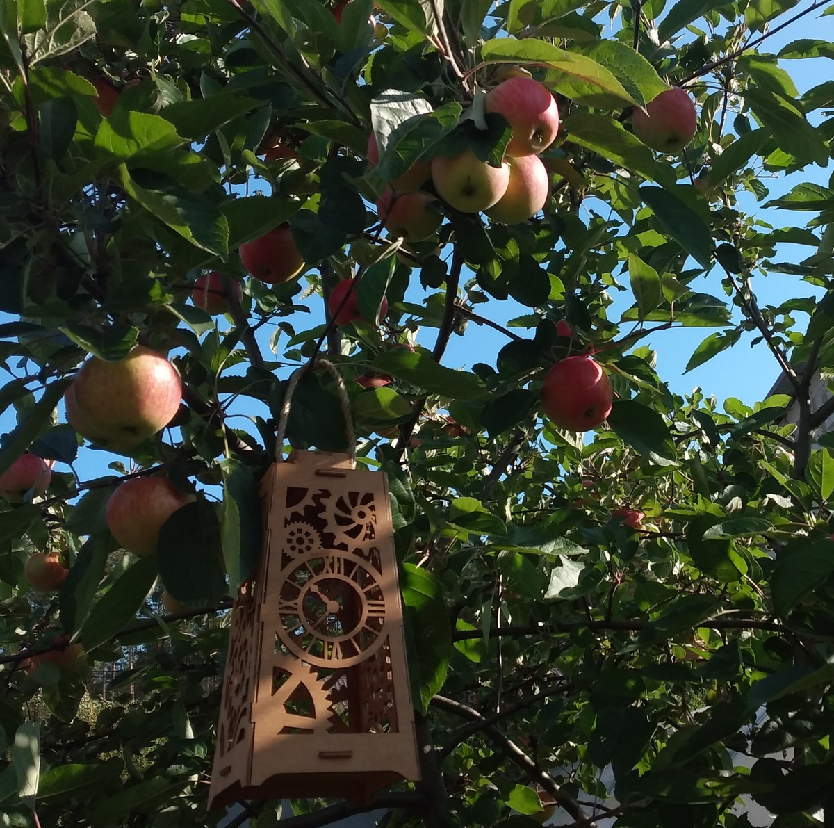 Фото автора