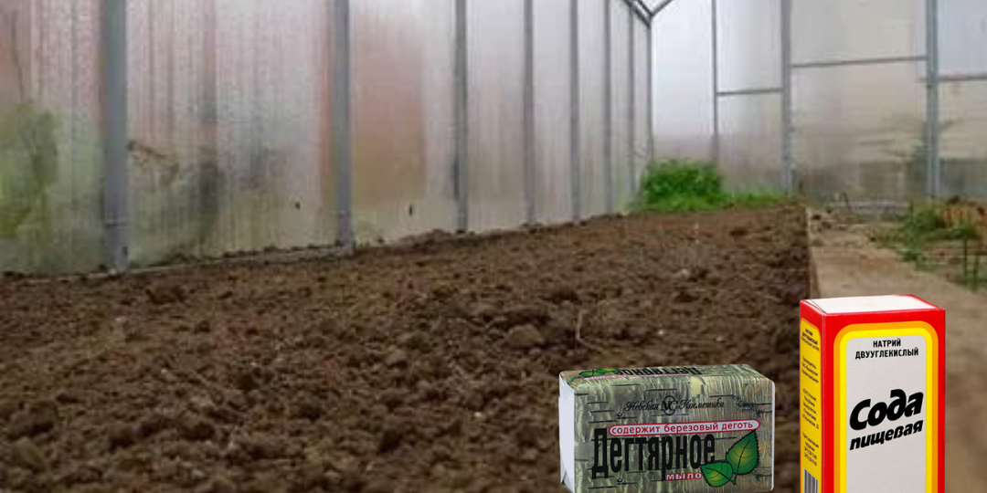 Как правильно подготовить теплицу к следующему сезону осенью: пошаговая инструкция и советы