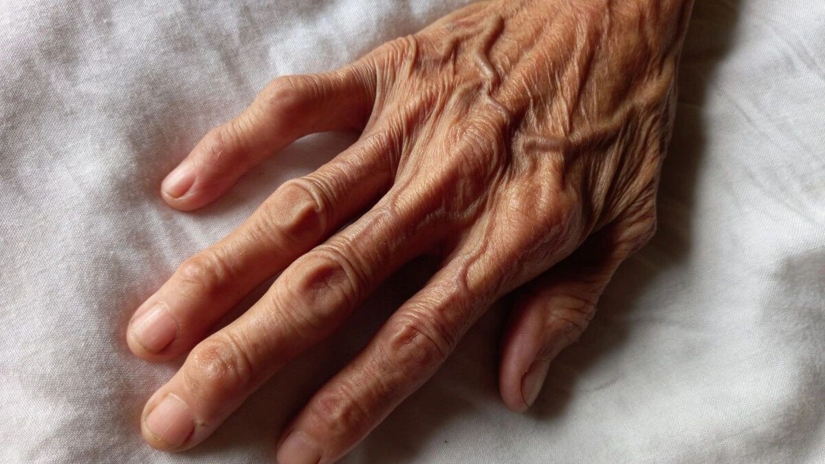    Фото: Lida Ahmad/Shutterstock/Fotodom