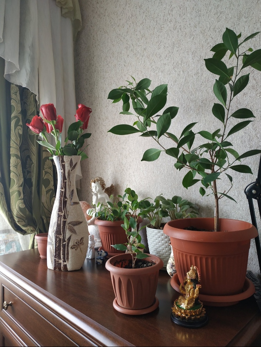 Не нашлось мульёна алых роз, публикую, что есть в архиве Google 