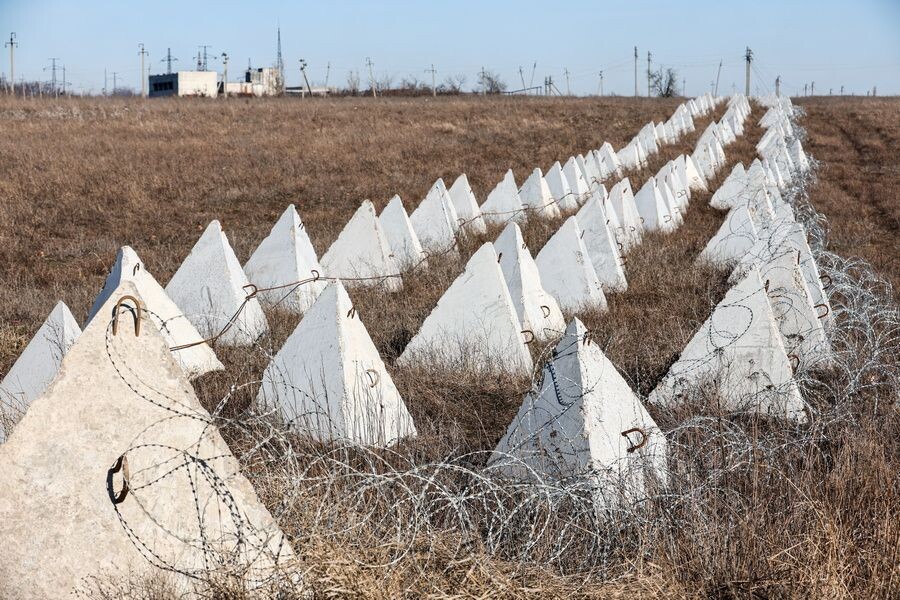     / Источник: © Дмитрий Ягодкин/ТАСС