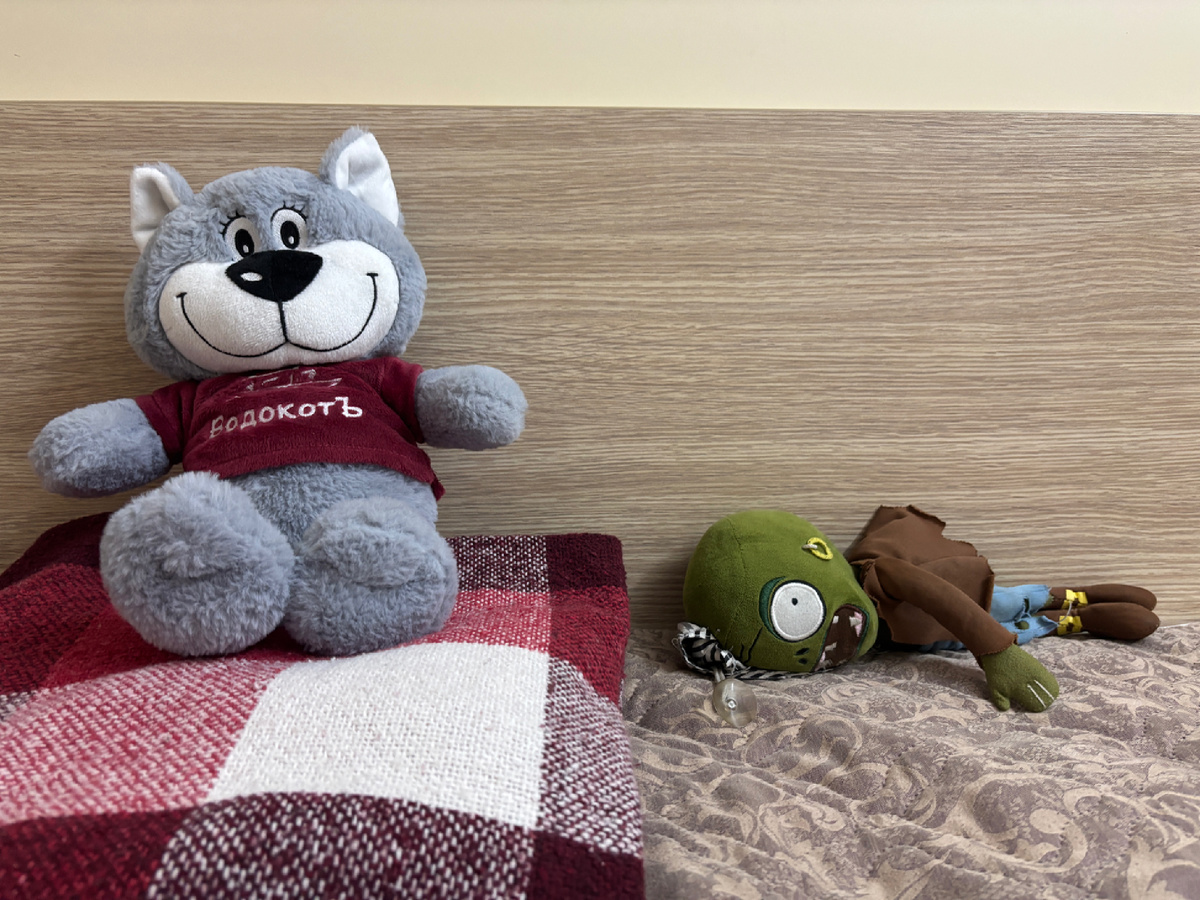 Фото автора. Петя - вот этот довольный улыбающийся котик, а я - то создание, что валяется рядом 