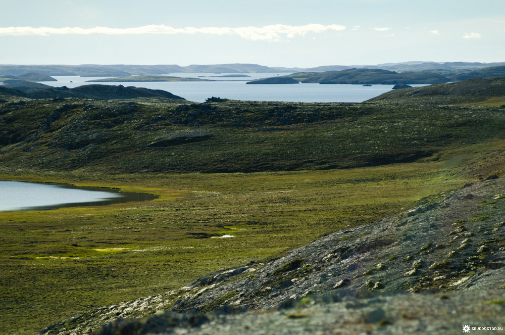 Кусова Земля — относительно крупный остров архипелага Новая Земля