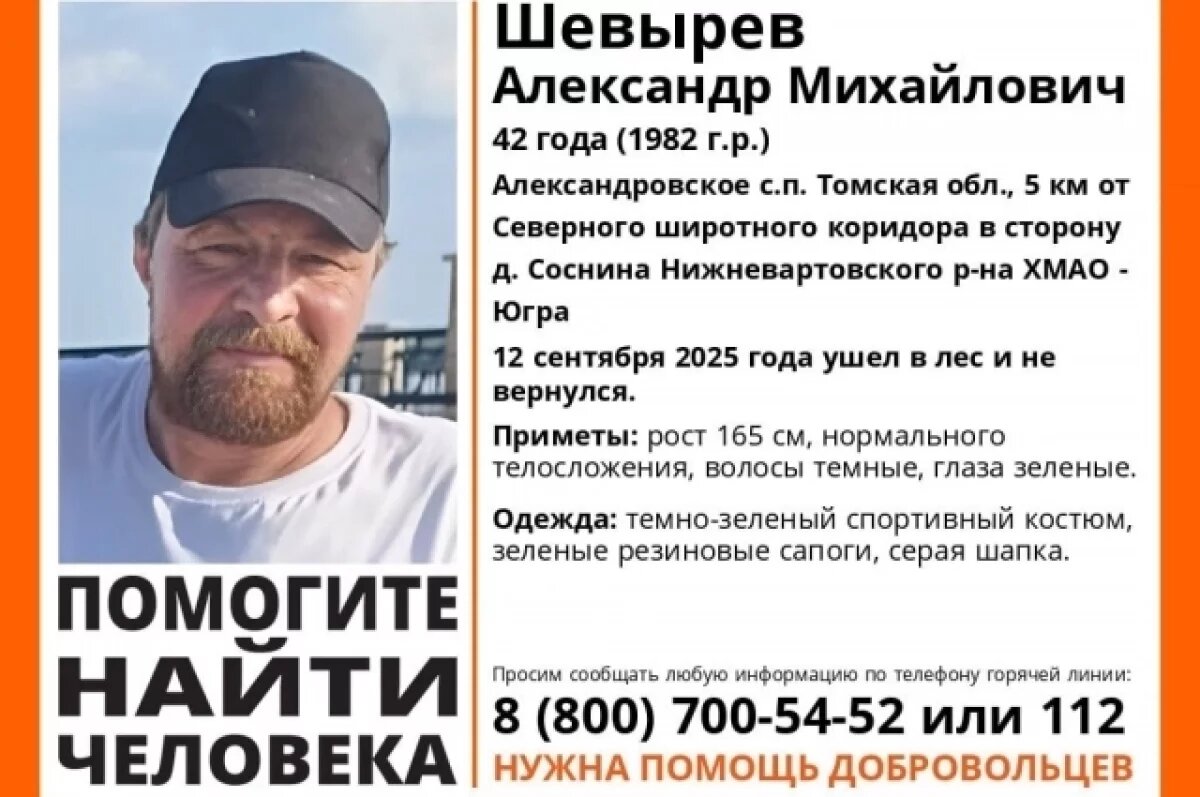    Мужчина в зеленых сапогах пропал в лесу в Томской области