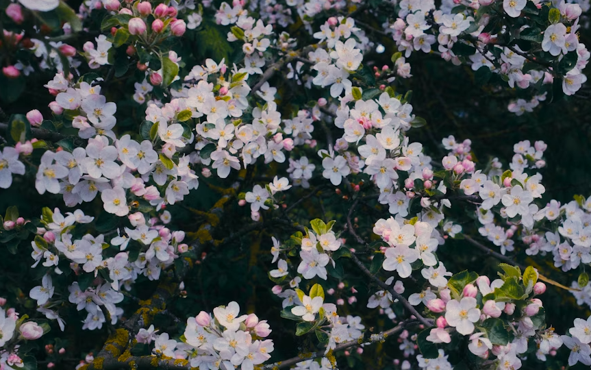 Почему важнее "внутреннее", а не "внешнее"? 🎀