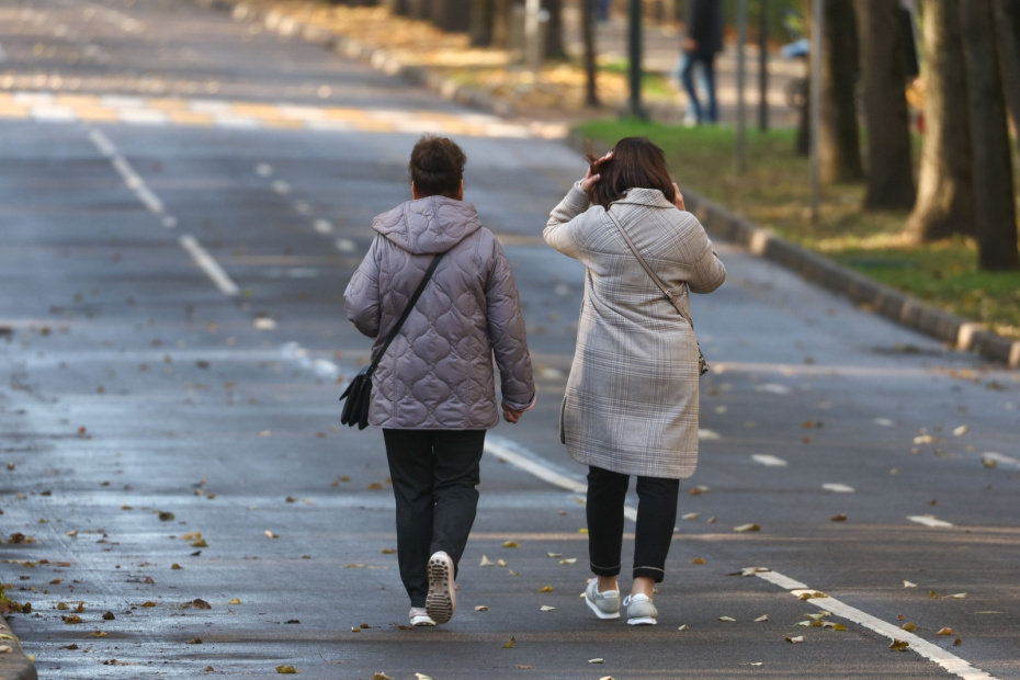    Наталья Шатохина/NEWS.ru