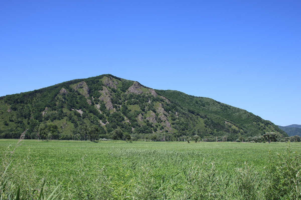 Начало лета в Приморье, на небе ни облачка, +37.