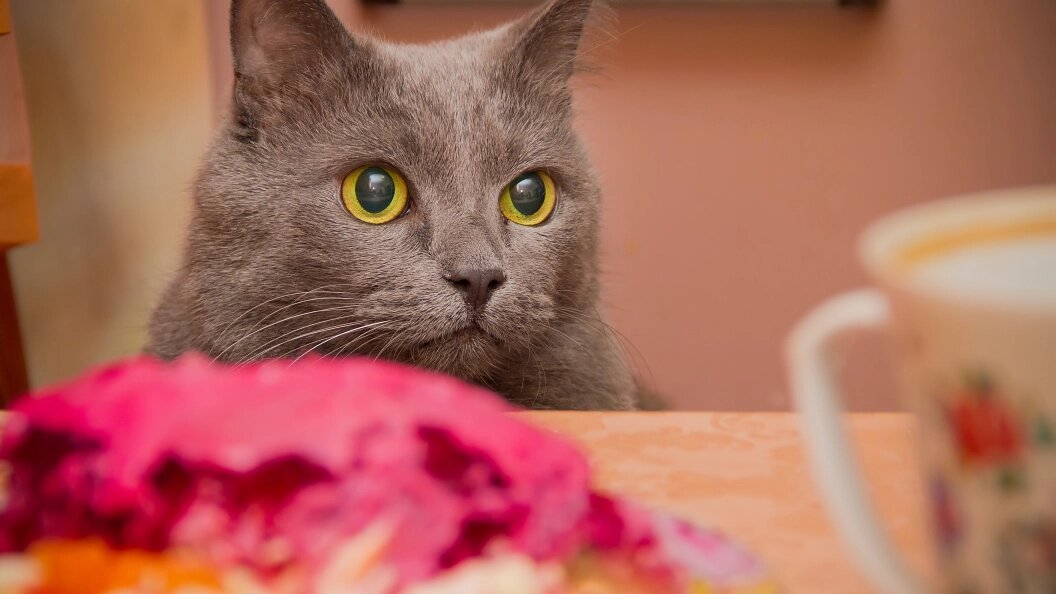    Фото: Ilya Galakhov/Globallookpress