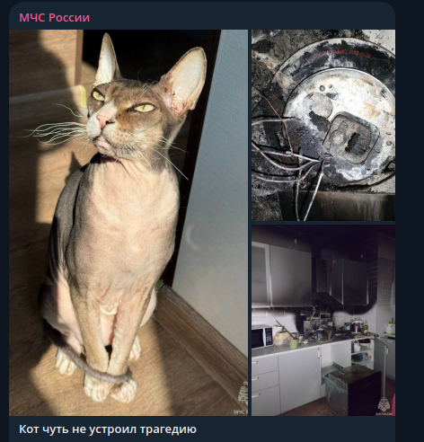    Скриншот: Telegram/"МЧС России"