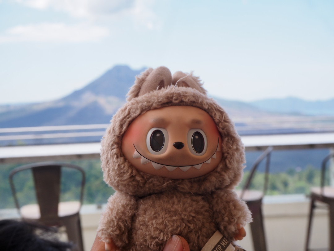 Лабубы больше не нужны 😥