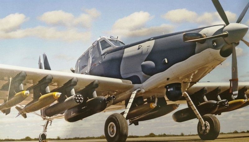 Картинки Яндекса