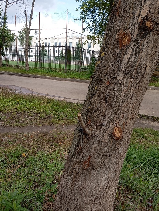 Нижний Новгород, 29 августа 2025