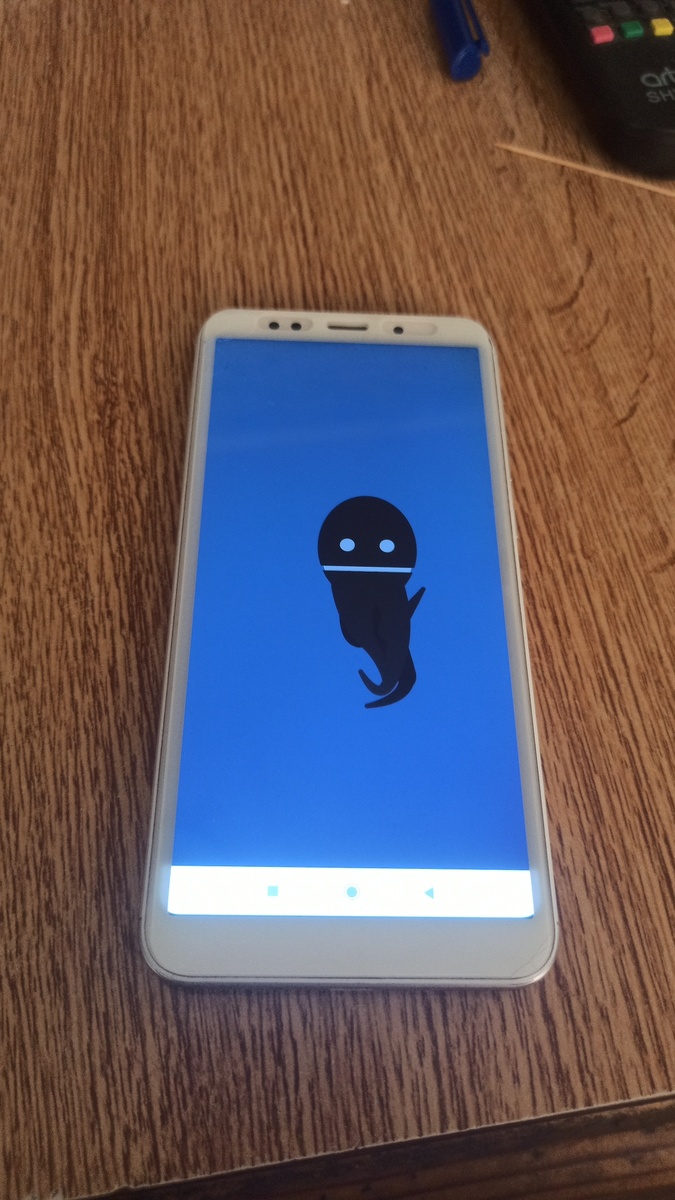 Фото осьминога и самого телефона