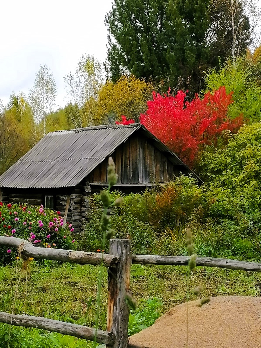 фото автора 