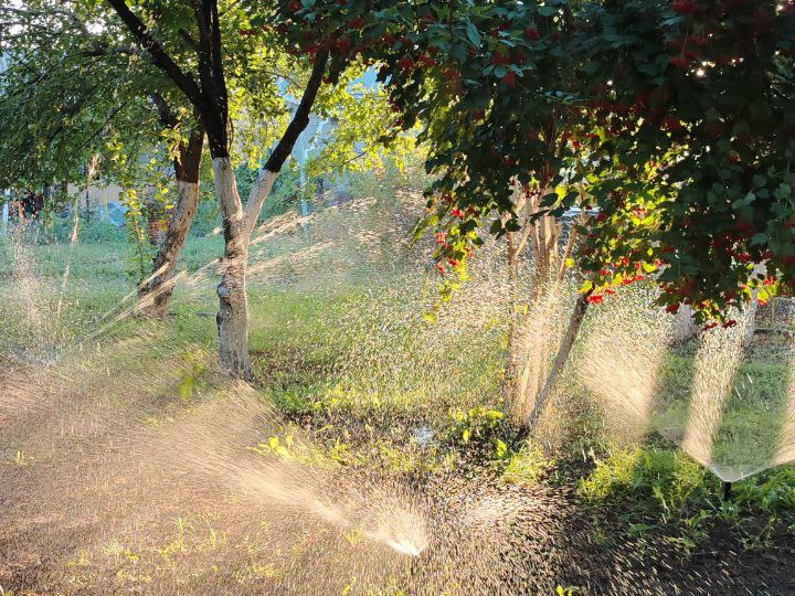 Сделали автополив на даче своими руками