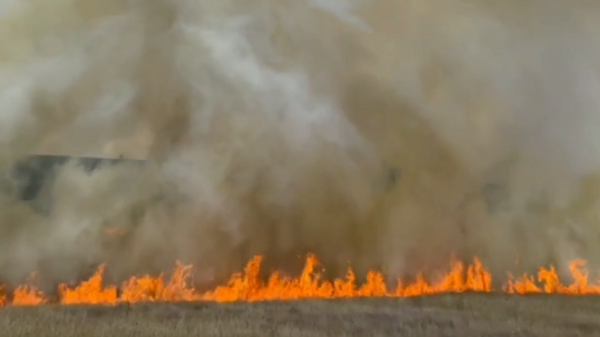    © МЧС России