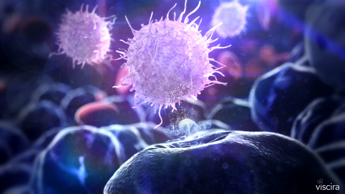 Т-лимфоцит атакует заражённую клетку.  https://avatars.mds.yandex.net/i?id=436a8ad3992fd018dda78589ef484b75fee66b16-5663061-images-thumbs&n=13   lminsaas.artstation.com 