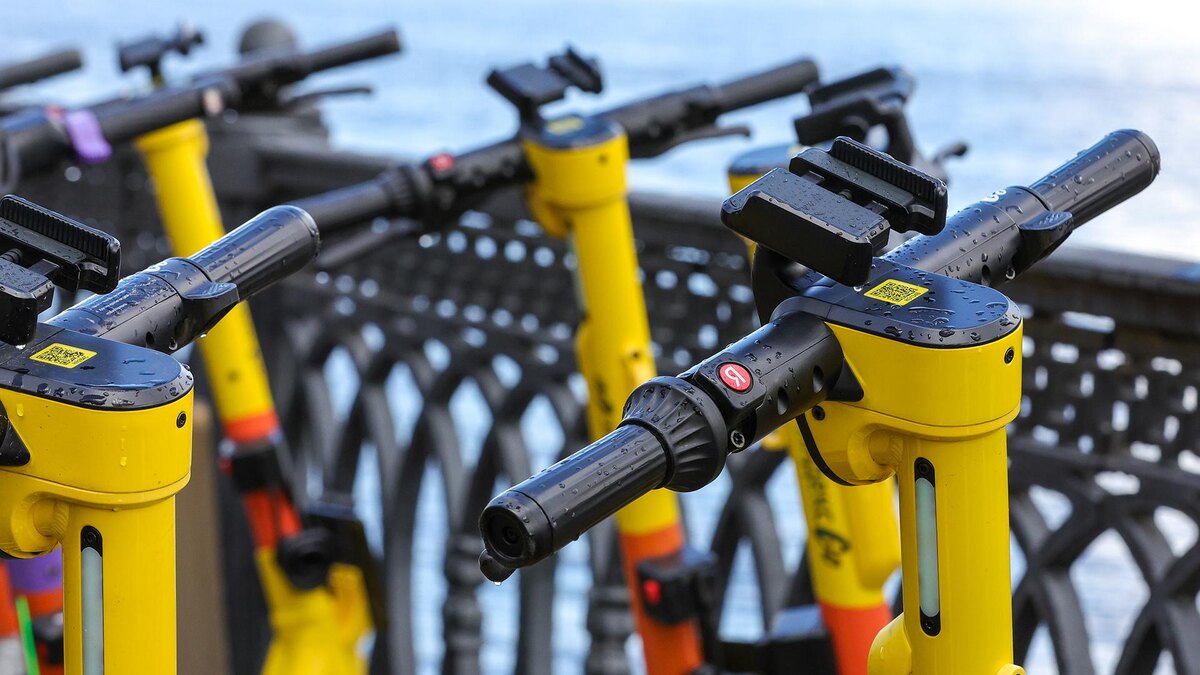    Фото: Shatokhina Natalia/globallookpress.com