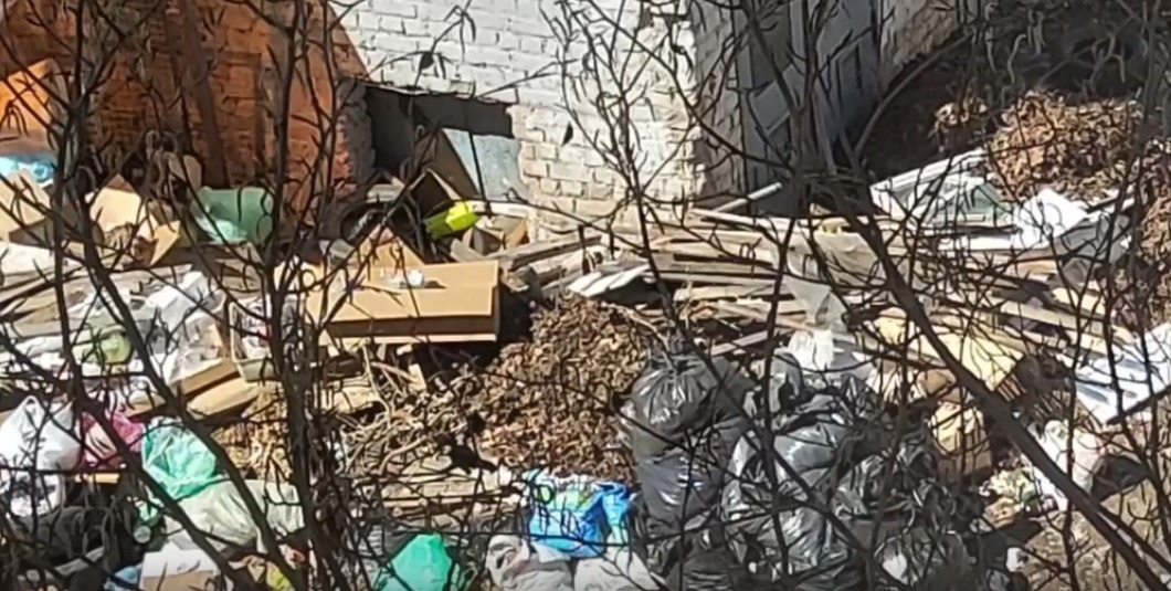    Скриншот видео ОНФ Самарской области