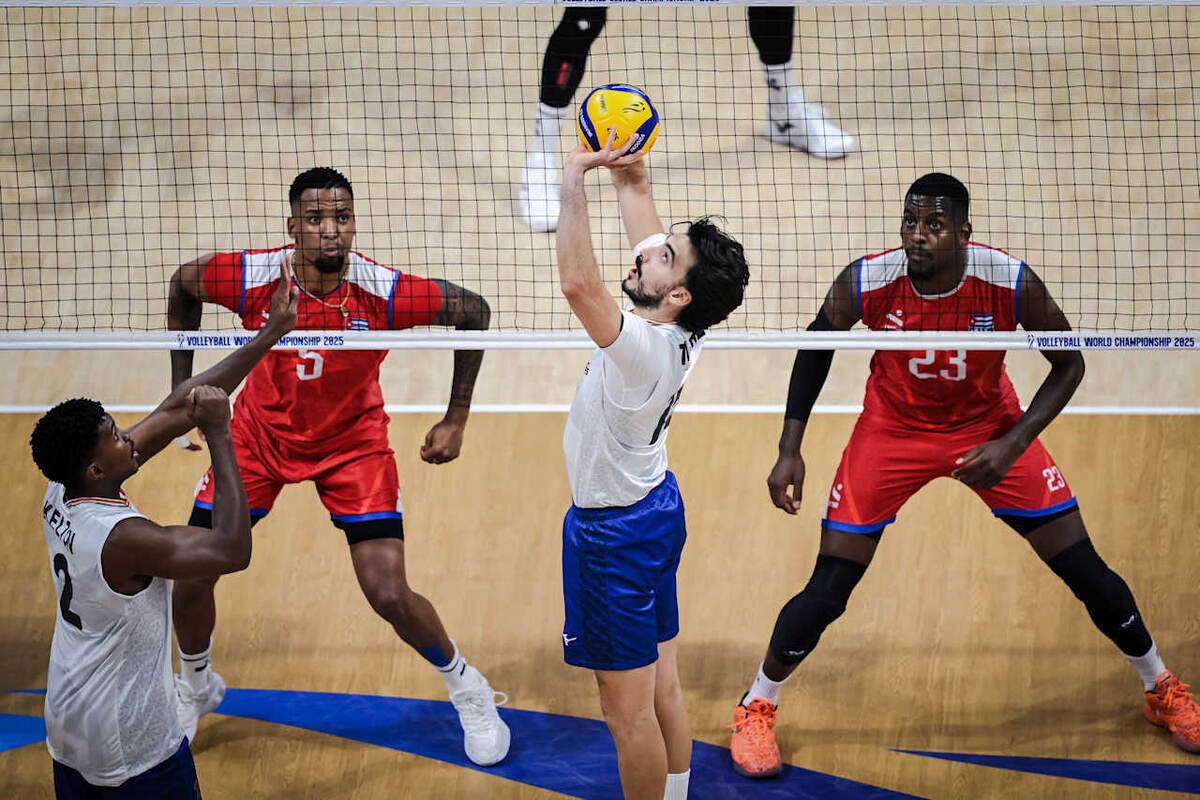    Мигель Тавареш