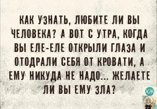 Источник: соцсети