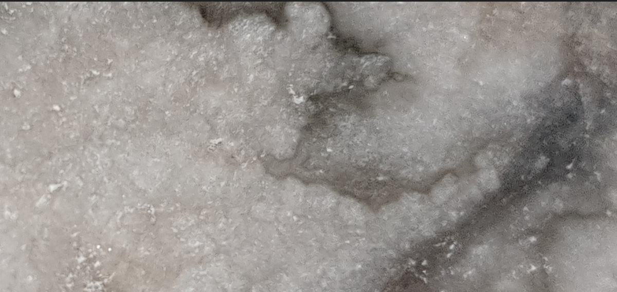 Фрагмент черно-белого агата Гжельских карьеров. Фото автора