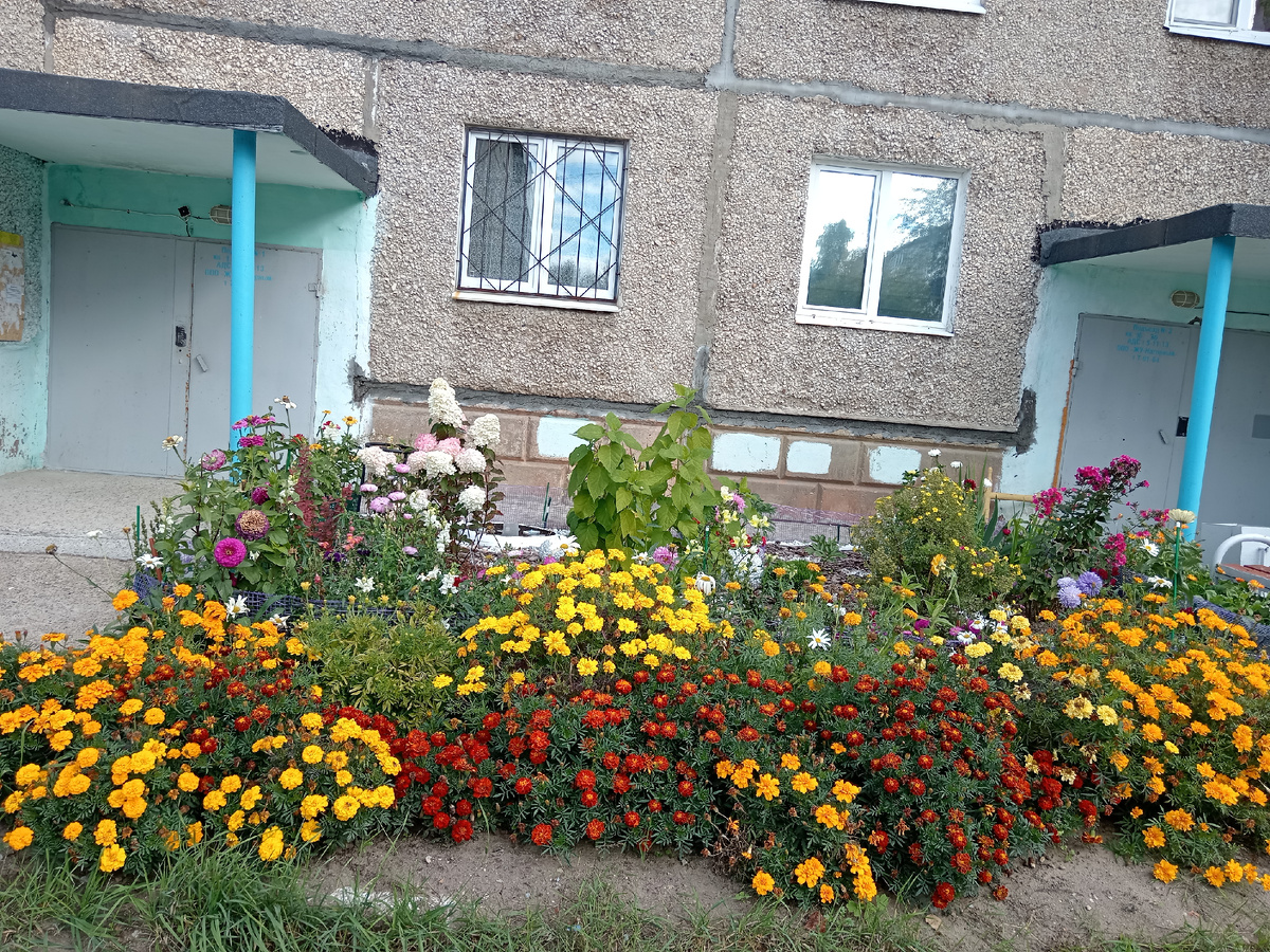 Красивый цветник по пути.