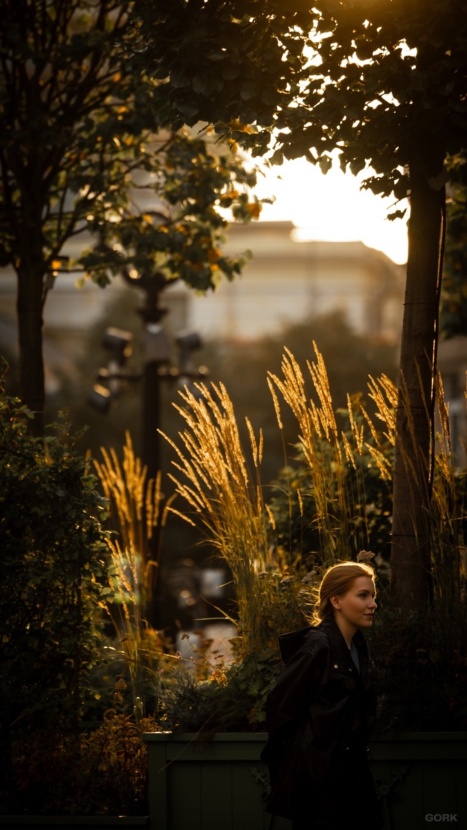 Фото: GORK | Гео: Москва, RU