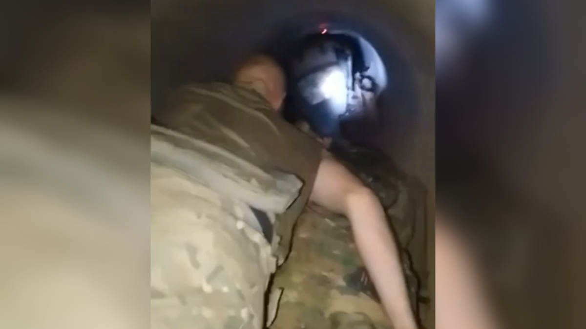    Фото: Скриншот видео / «Военкор Котенок» / Telegram