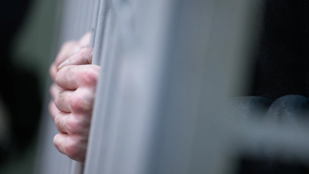    Фото: Ilya Moskovets/Globallookpress