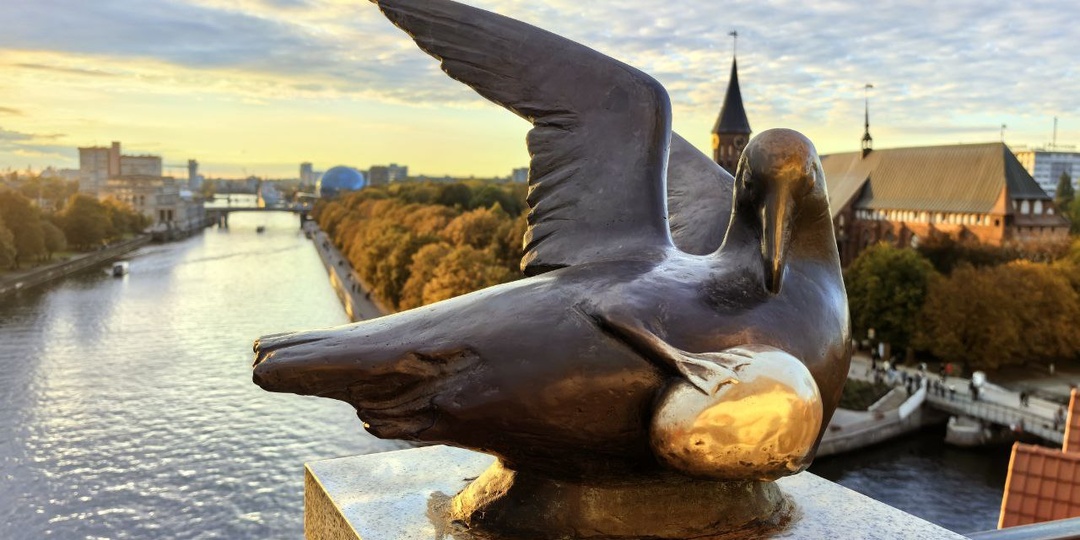 Смотровая площадка «Маяк» в Калининграде: куда сходить за лучшими видами