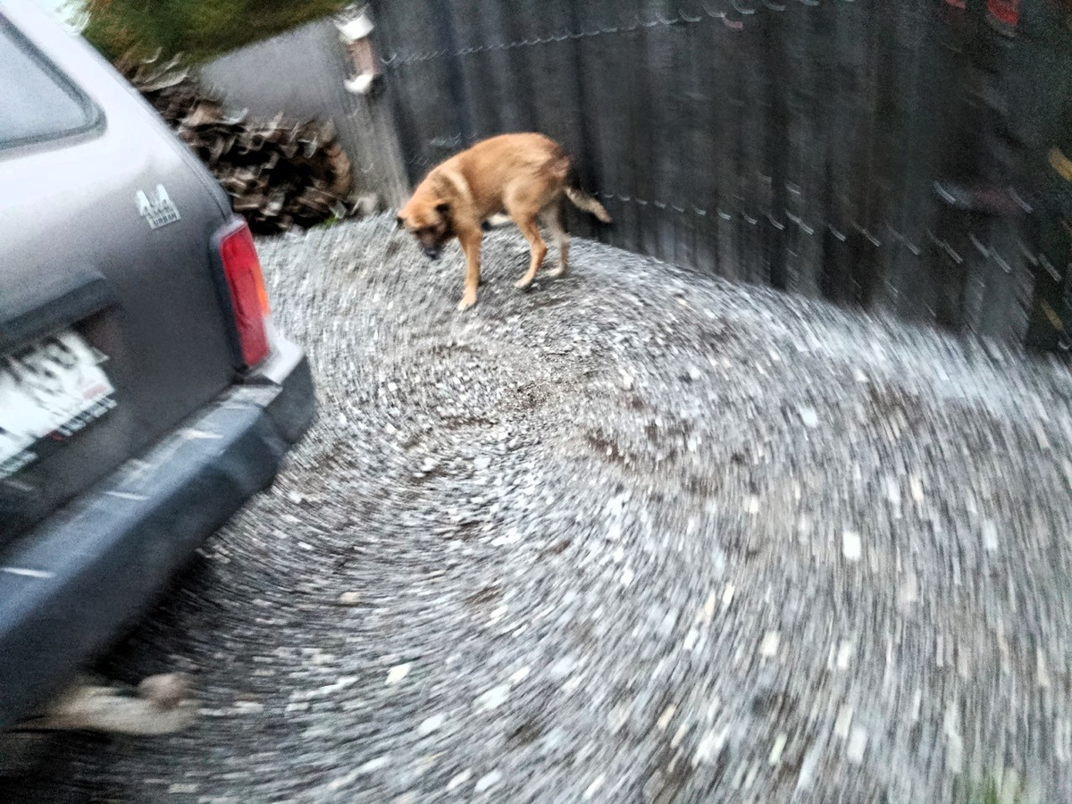 Он постоянно в движении