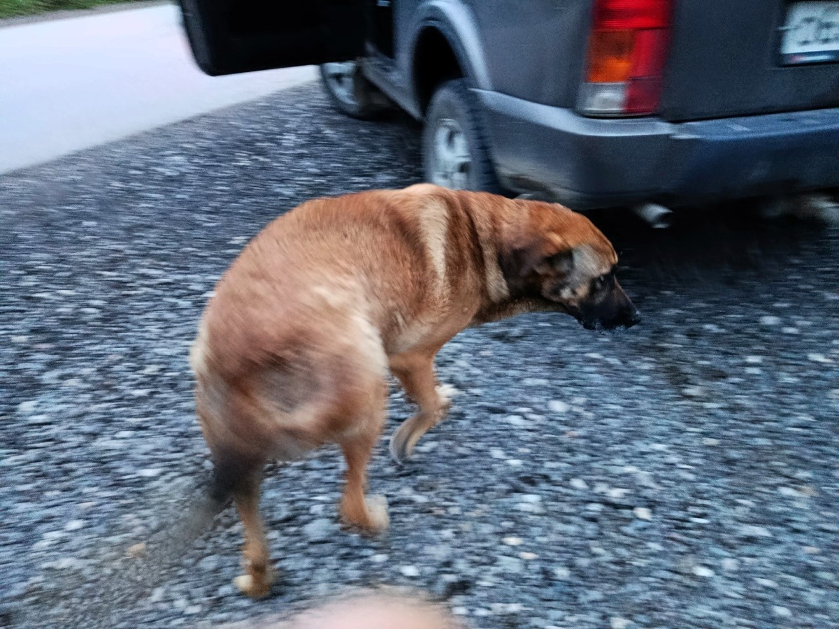 Словно песок, который проходит сквозь пальцы