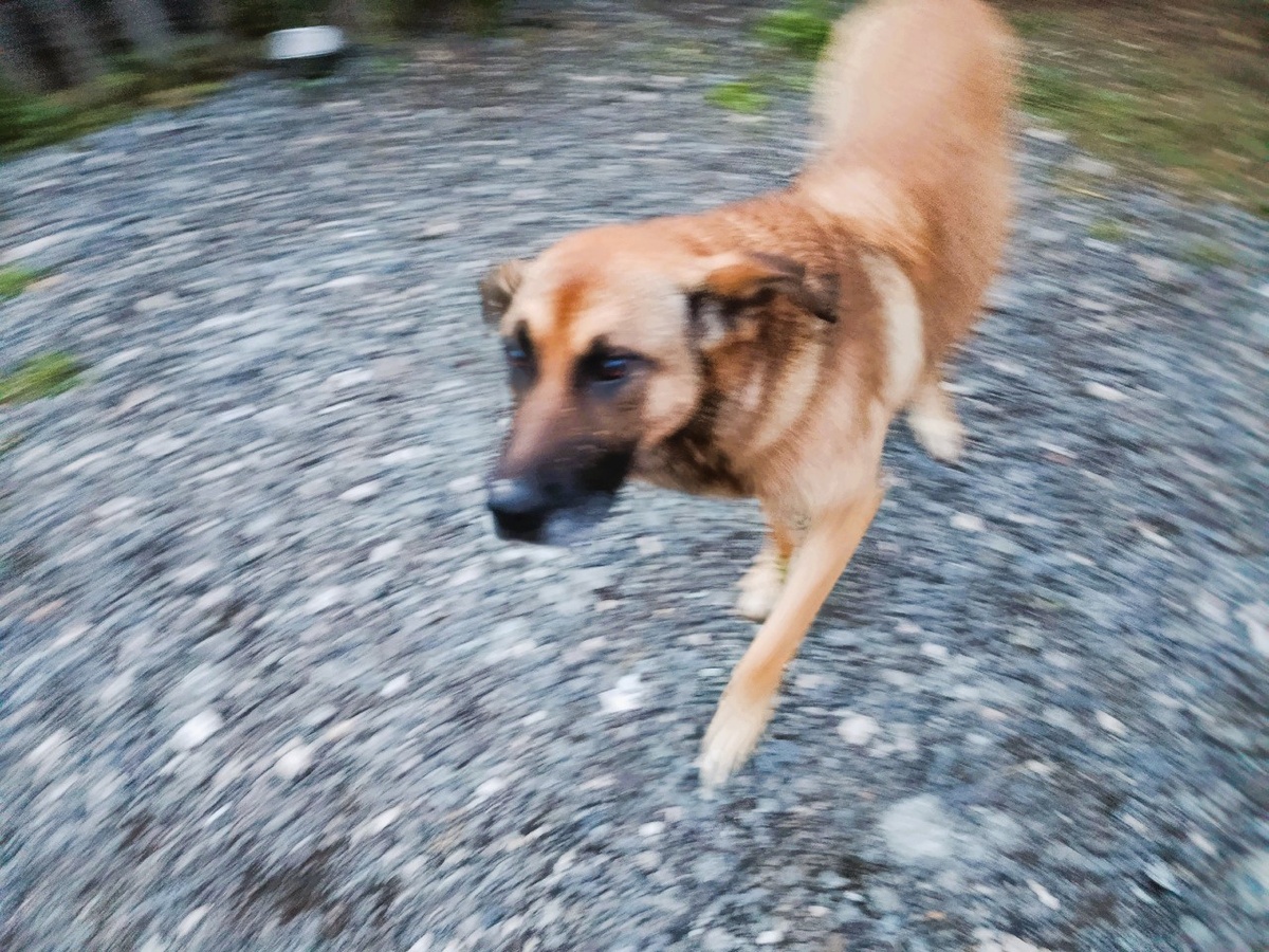 Кружит и кружит...