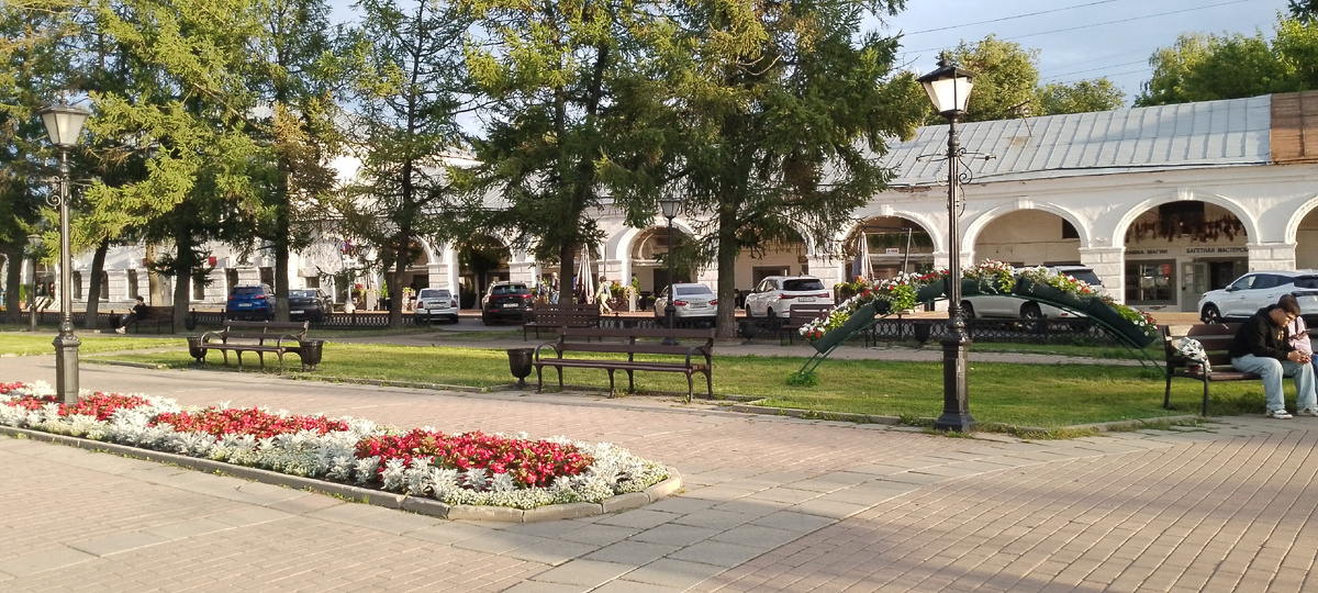 Запечатлела момент в Костроме