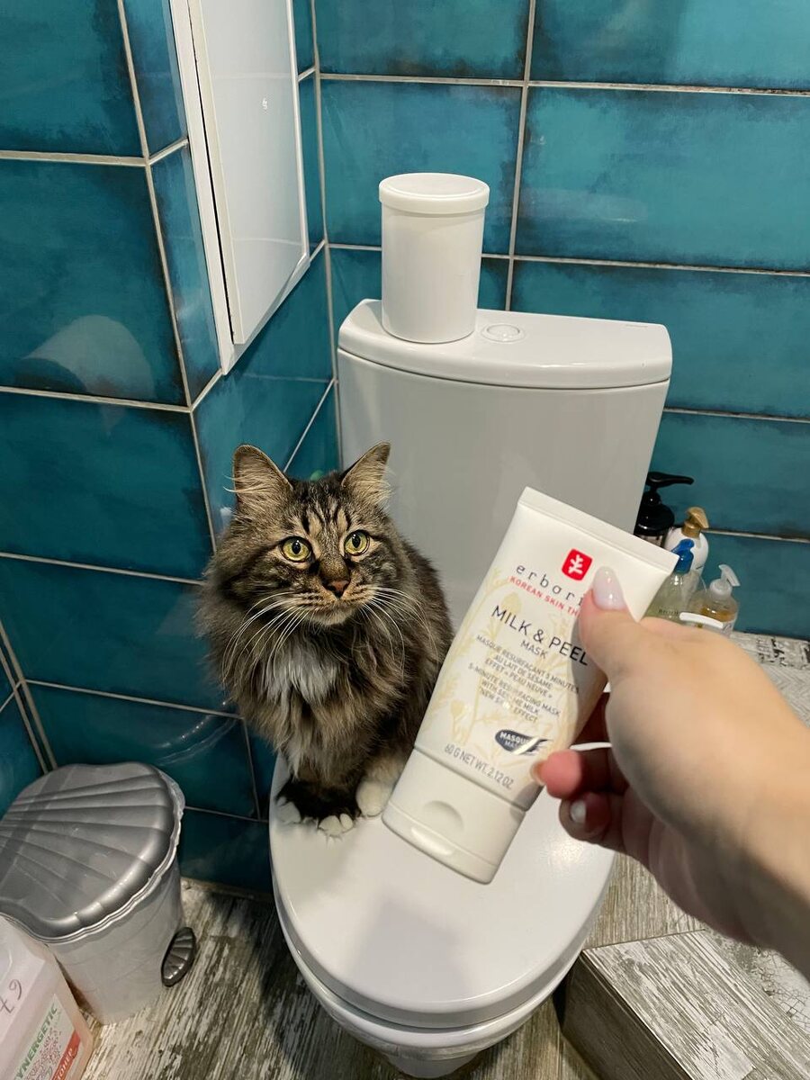 А это Шико интересуется.:) Всегда за мной везде ходит, если не спит.