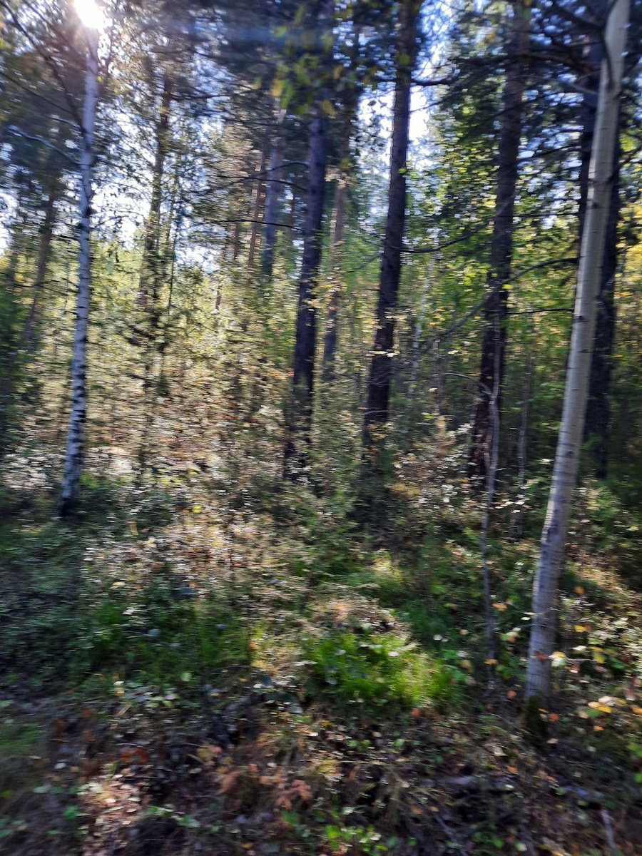 Фото автора.